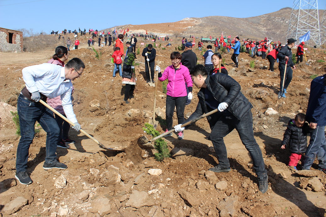 Ebpay环境2019植树活动－分工协作，星点绿意渐成片.jpg